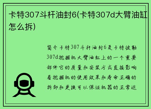 卡特307斗杆油封6(卡特307d大臂油缸怎么拆)